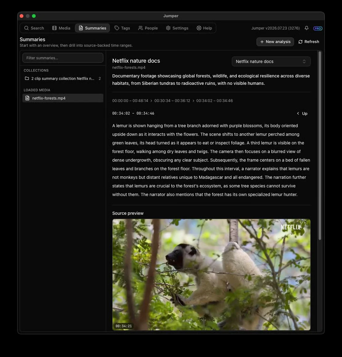 Summary Analysis showing a footage overview, detailed source range, and source preview